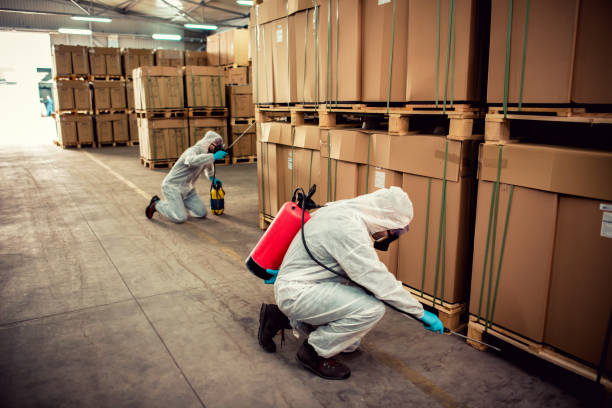 Best Cockroach Control Services  in El Dorado, AR