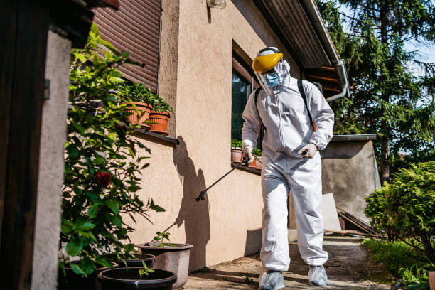 Best Termite Control Services  in El Dorado, AR