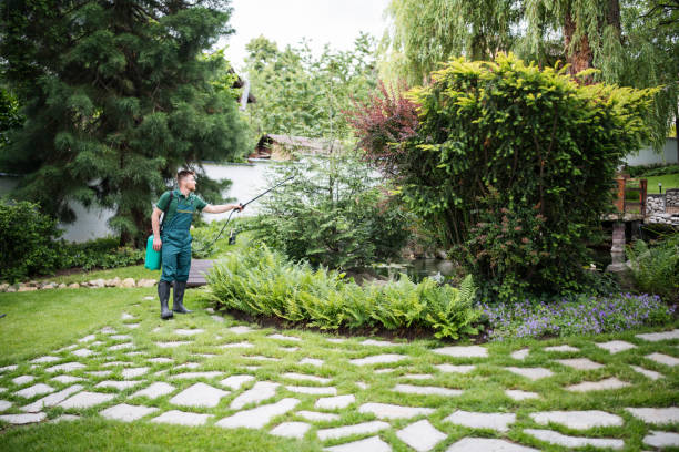 Best Wasp Removal Services  in El Dorado, AR