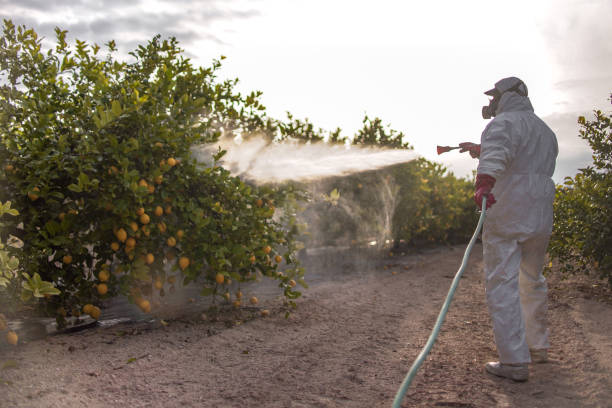 Best Pest Prevention Services  in El Dorado, AR