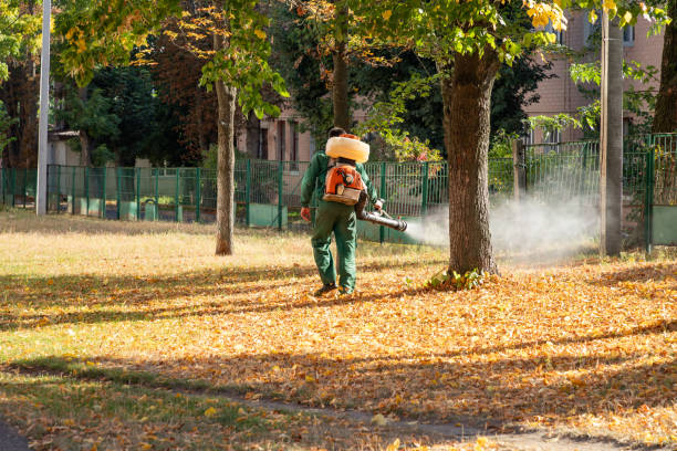Best Local Pest Control Services  in El Dorado, AR