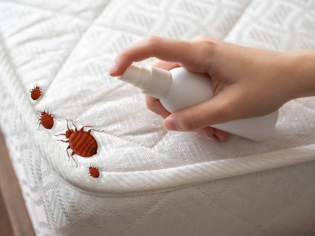 Pest Control Cost in El Dorado, AR